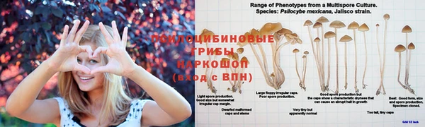 дживик Зеленодольск