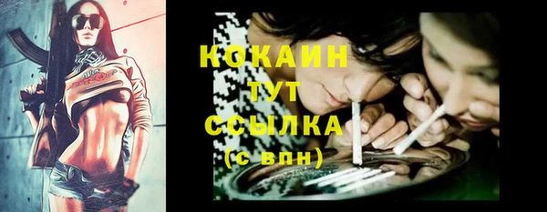 шишки Зерноград