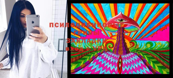 дживик Зеленодольск