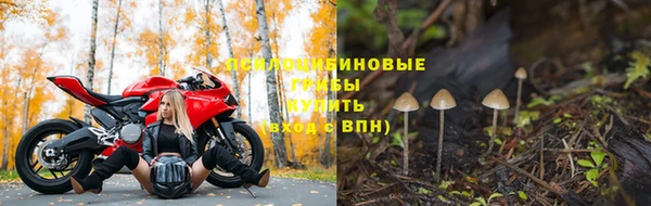 шишки Зерноград
