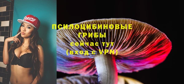 Альфа ПВП Зеленокумск